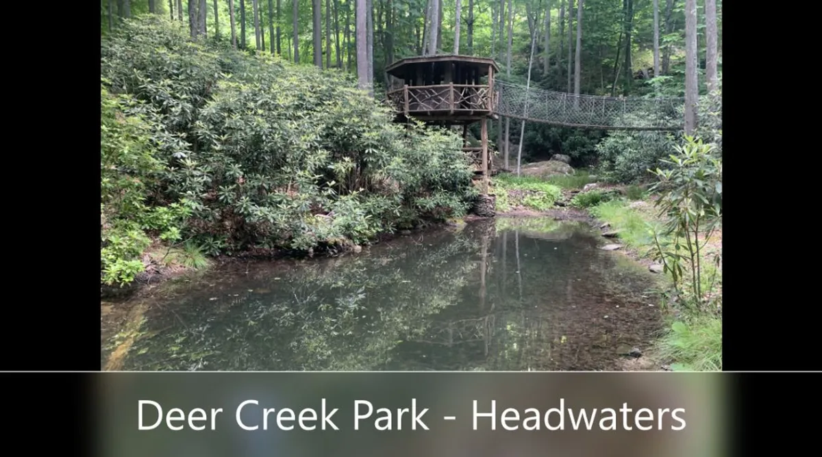 A whimsical treehouse overlooking a tranquil pond, surrounded by lush greenery and tall trees. The scene evokes a sense of outdoor adventure and playful exploration, perfect for families with children. Reflections on the water and the natural setting add to the atmosphere of discovery and relaxation.